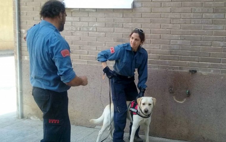 Dos bombers amb un gos durant el seminari internacional de Recerca de Persones amb Gossos de Mantrailing que s'ha fet a Lleida