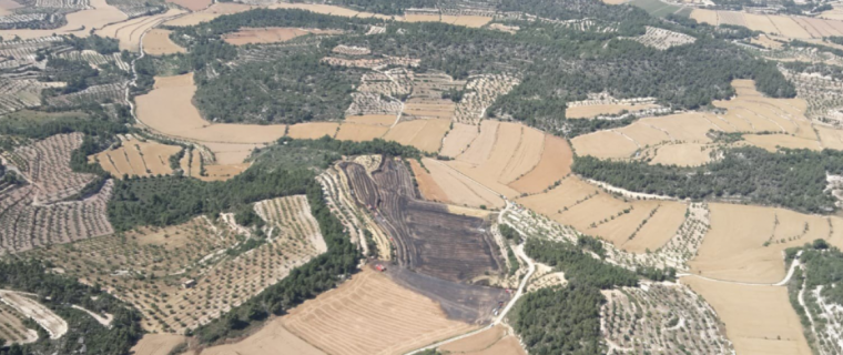 Imatge del camp cremat a Maldà