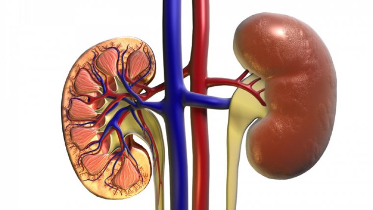 diabetes por acidosis respiratoria diabetes por acidosis respiratoria