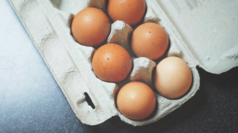 Los huevos, la carne de ave, el marisco y los frutos son alimentos ricos en proteínas de alta calidad.