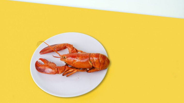 Que es la purina y en que alimentos se encuentra Que es la purina y en que alimentos se encuentra