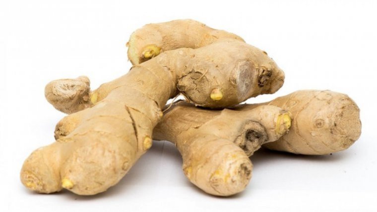According to scientific research, the root of the ginger plant has anti inflammatory properties.