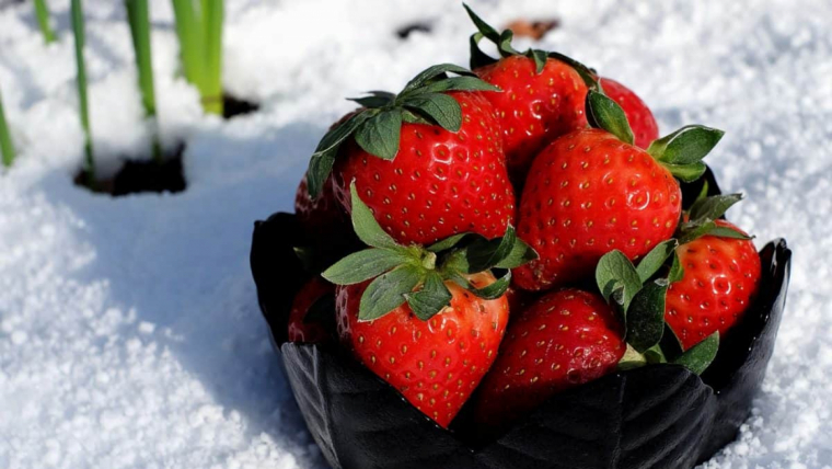 Son frutas de primavera cuales