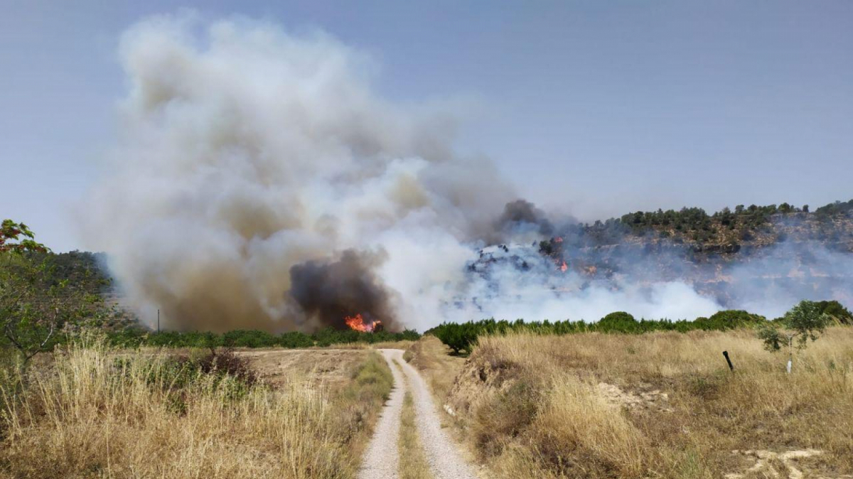 Imatge de l'incendi, en una zona forestal del municipi de la Torre de l'Espanyol