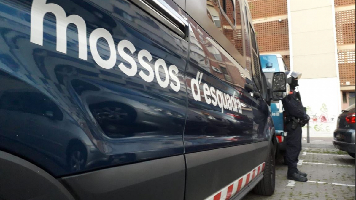 Mossos