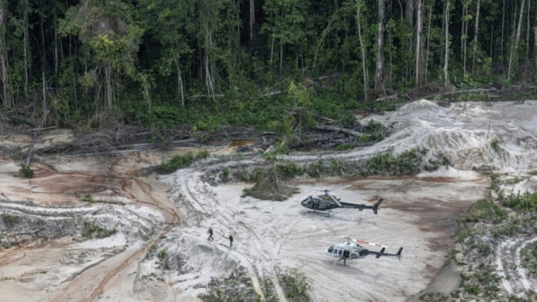 La desforestació ha augmentat molt a les Amazones