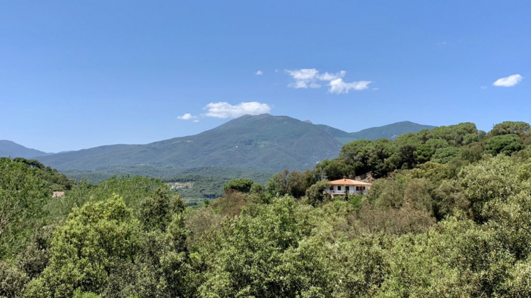 Vista al Montseny des del Parc Natural del Montnegre aquest juny