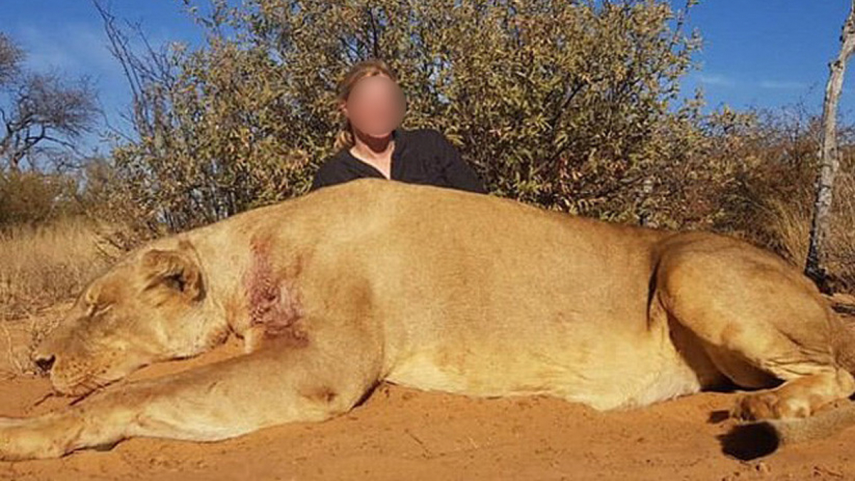 La dona també es va fotografiar després de matar un lleó blanc