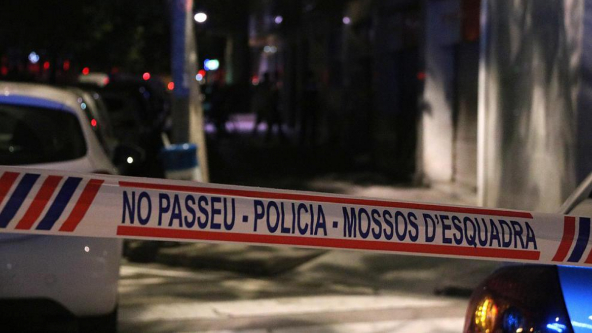 Mossos