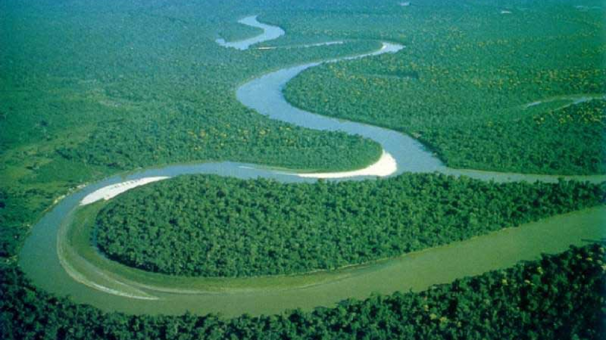 Selva amazònica peruana