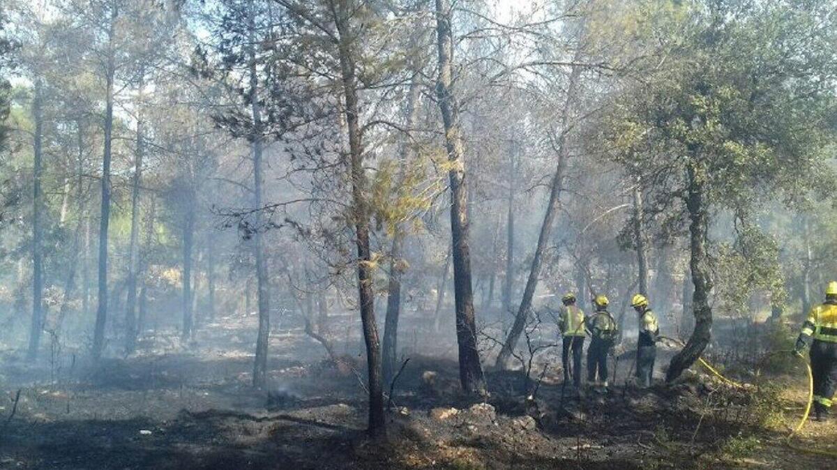 El foc ha cremat una superfície de 2.900 metres quadrats de vegetació forestal a la Torre de Claramunt