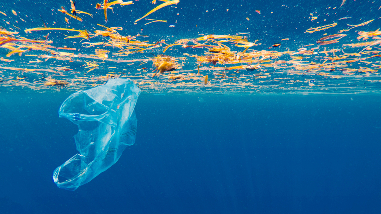 Amb petits gestos, com el reciclatge de l'oli, podem canviar el medi ambient
