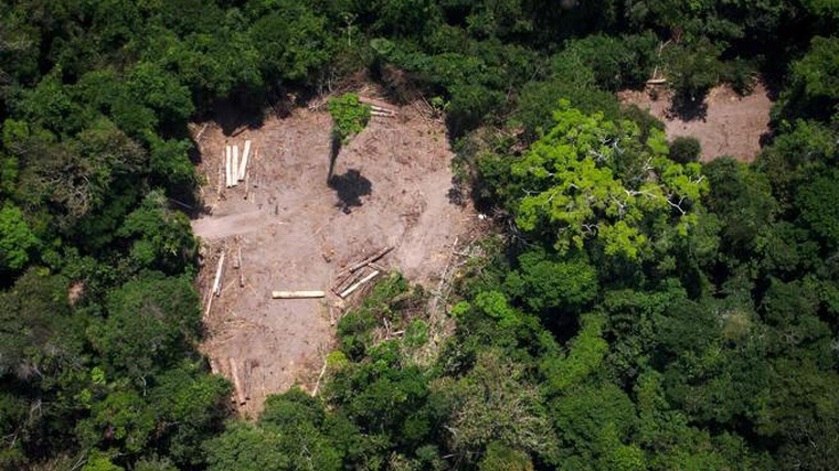 Deforestación ilegal localizada por Greenpeace