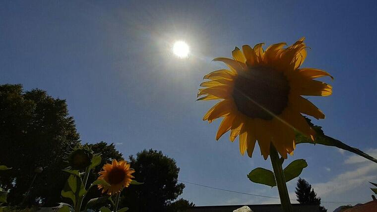 El sol radiant i la calor intensa seran els protagonistes del primer cap de setmana d'agost
