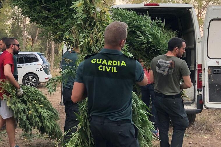 Guardia Civil Marihuana