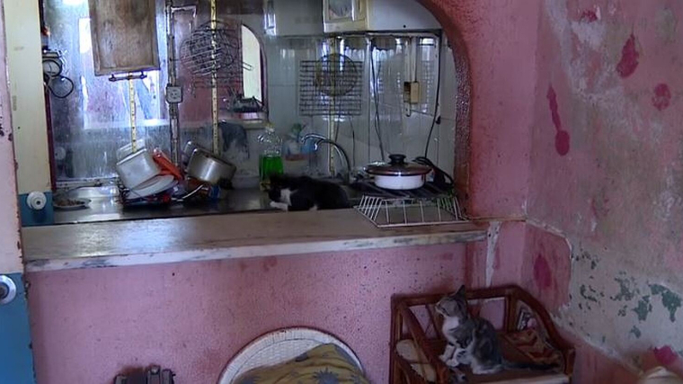 La família compartia un espai en condicions insalubres amb gats i gossos