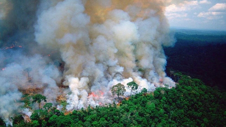 Los incendio en la Amazonia se han multiplicado en este Ãºltimo aÃ±o