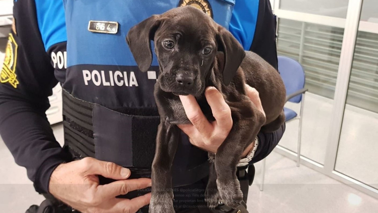 Policia Local Sitges