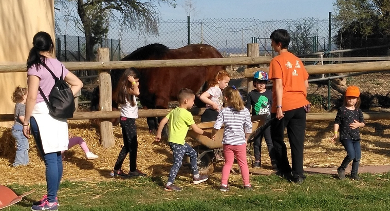 Imatge d'una de les activitats de La Manreana