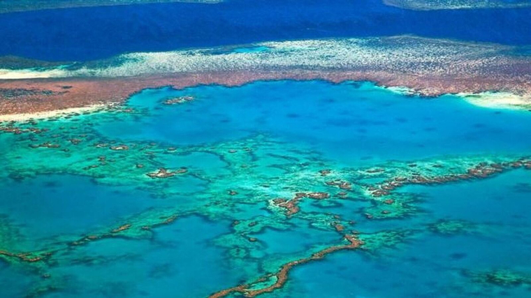 La Gran Barrera de Corall al límit a causa del canvi climàtic