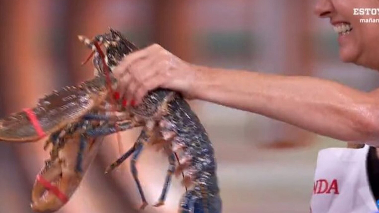 Un concursant de 'Masterchef Celebrity' capturant crustacis vius