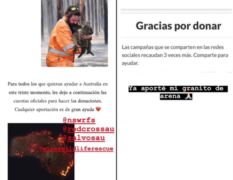 Imatge del donatiu d'Antonela Roccuzzo pels incendis que cremen Austràlia, gener del 2020
