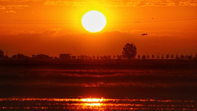 Imatge d'un dia de sol al Delta de l'Ebre