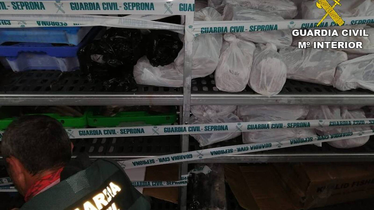 confisquen 800 quilograms de peix en Torrevieja, el Baix Segura (Alacant)