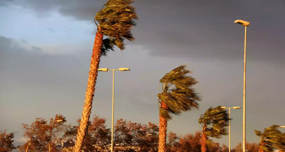 Maxima Alerta A Tot Tarragona Arriba Un Nou I Perillos Temporal De Vent