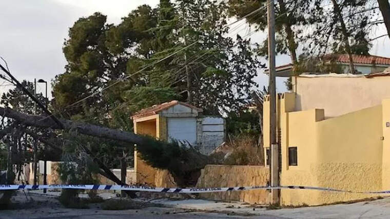 El temporal de vent obliga a tancar el Port MarÃ­tim de ValÃ¨ncia