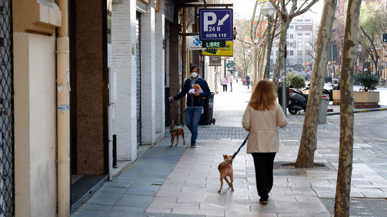 Una dona passejant el gos a Madrid durant el confinament pel coronavirus el 15 de marÃ§ de 2020
