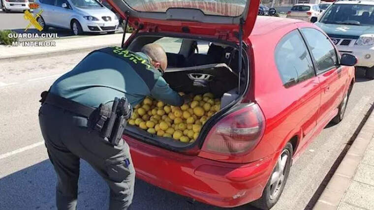 Detinguts dos hòmens per estafar en la compravenda de llimes en AlmoradÃ, en el Baix Segura (Alacant)