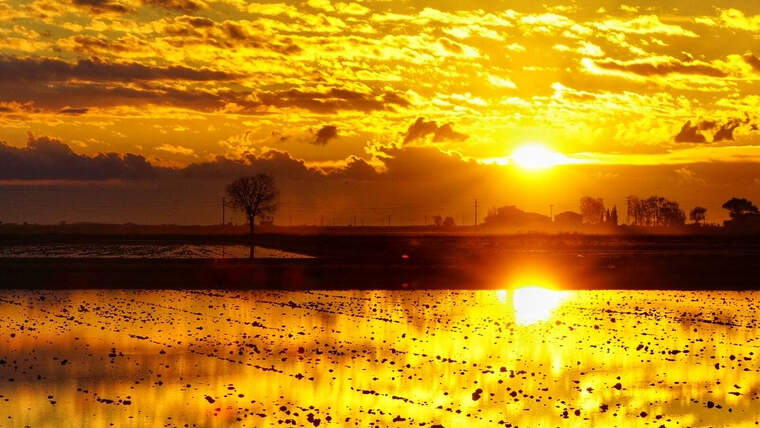 Imatge d'una sortida de sol rogenca al Delta de l'Ebre