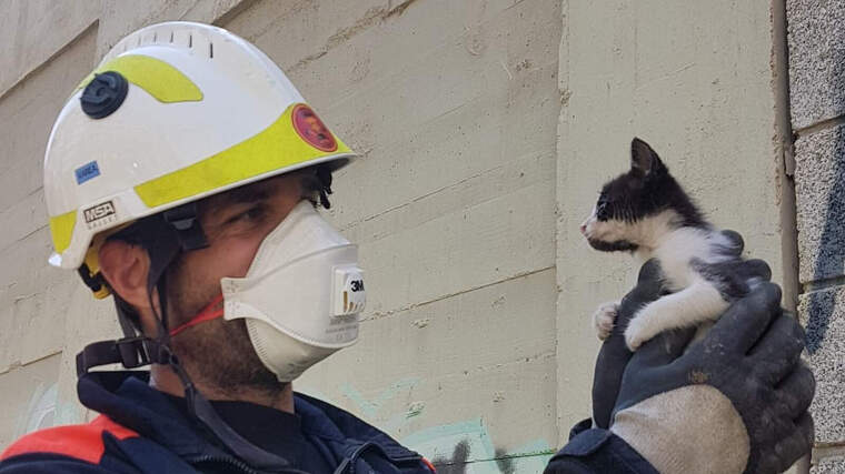 Un bomber rescatant a un gat en ValÃ¨ncia