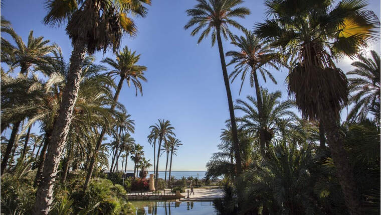 Parc del Palmeral en Alacant