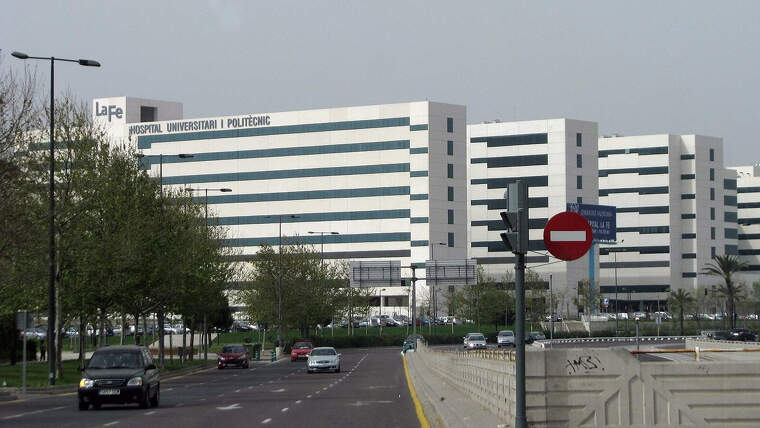 Hospital La Fe de València