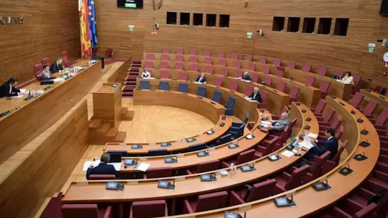 Comissió de JustÃcia en les Corts Valencianes (11-05-2020)