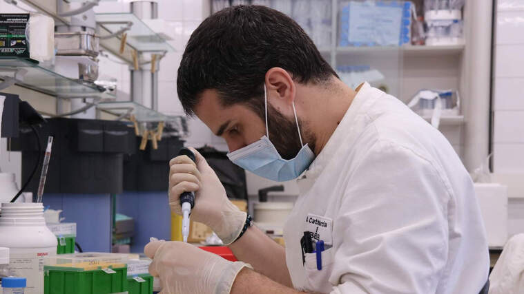 Un investigador de l'Institut de Biotecnologia i Biomedicina de la UAB treballant amb mascareta