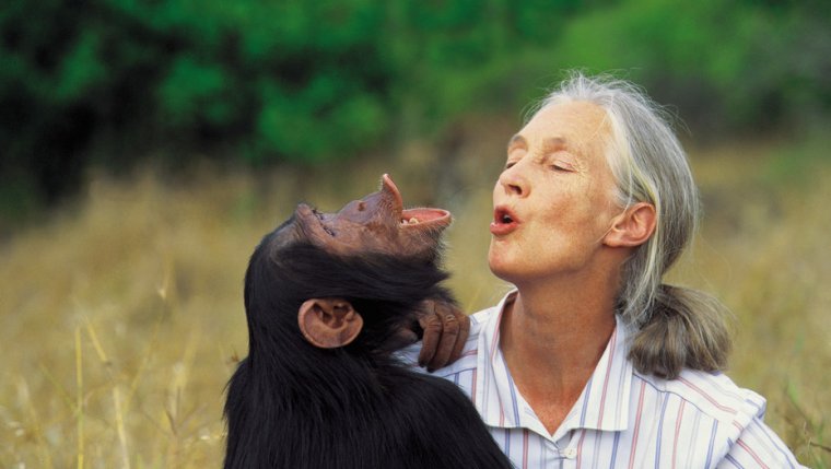 Jane Goodall, una importante mujer científica en el campo de la etología.