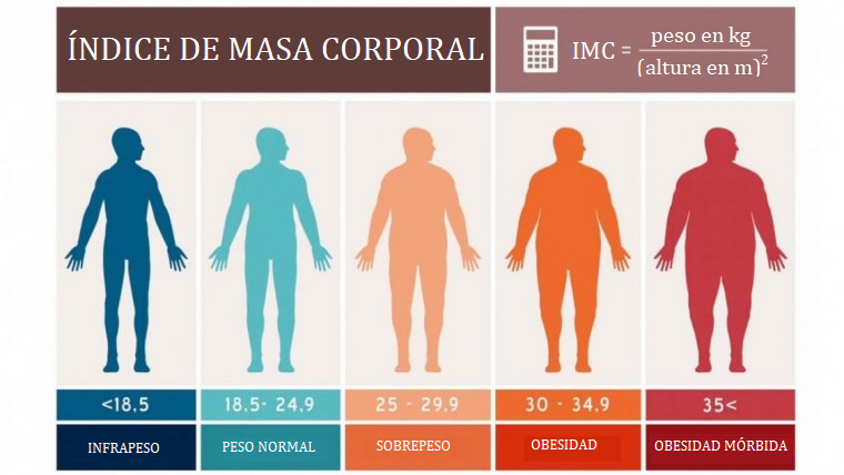 Como Calcular Masa Corporal Peso Marcus Reid 4109