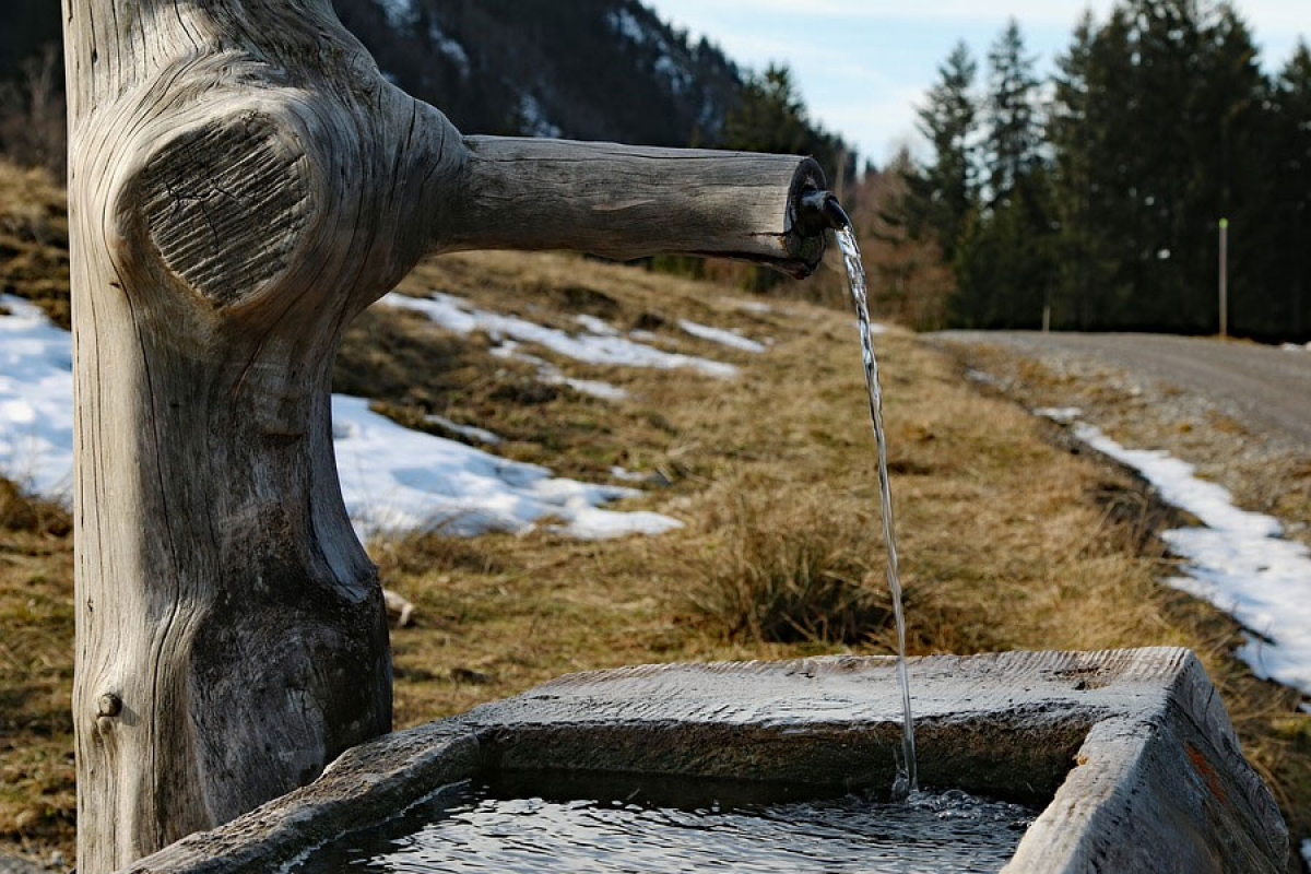 Que Es Un Zahori Como Buscar Agua Con Varillas