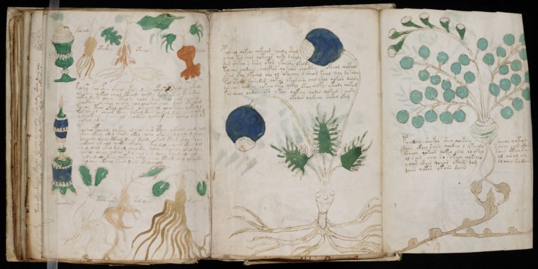 El Manuscrit Voynich conté desenes d'imatges de
