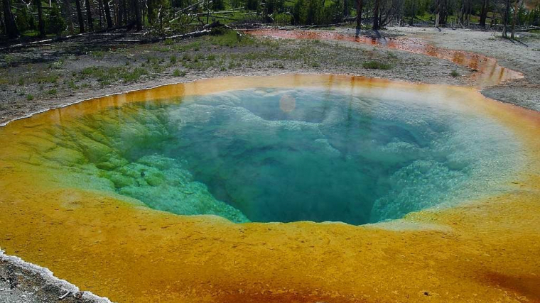 Els singulars bacteris habiten en pous termals del Parc Nacional de Yellowstone