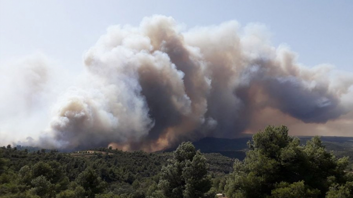 Imatge del foc que està tenint lloc aquesta tarda a la Ribera d'Ebre