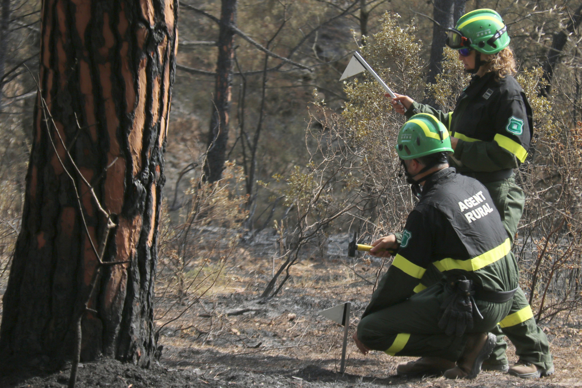 Dos agents rurals treballant en l'incendi del Montgr�