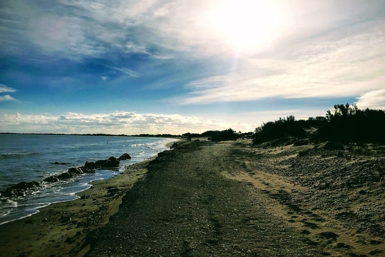 Pla general de la Platja de la Marquesa