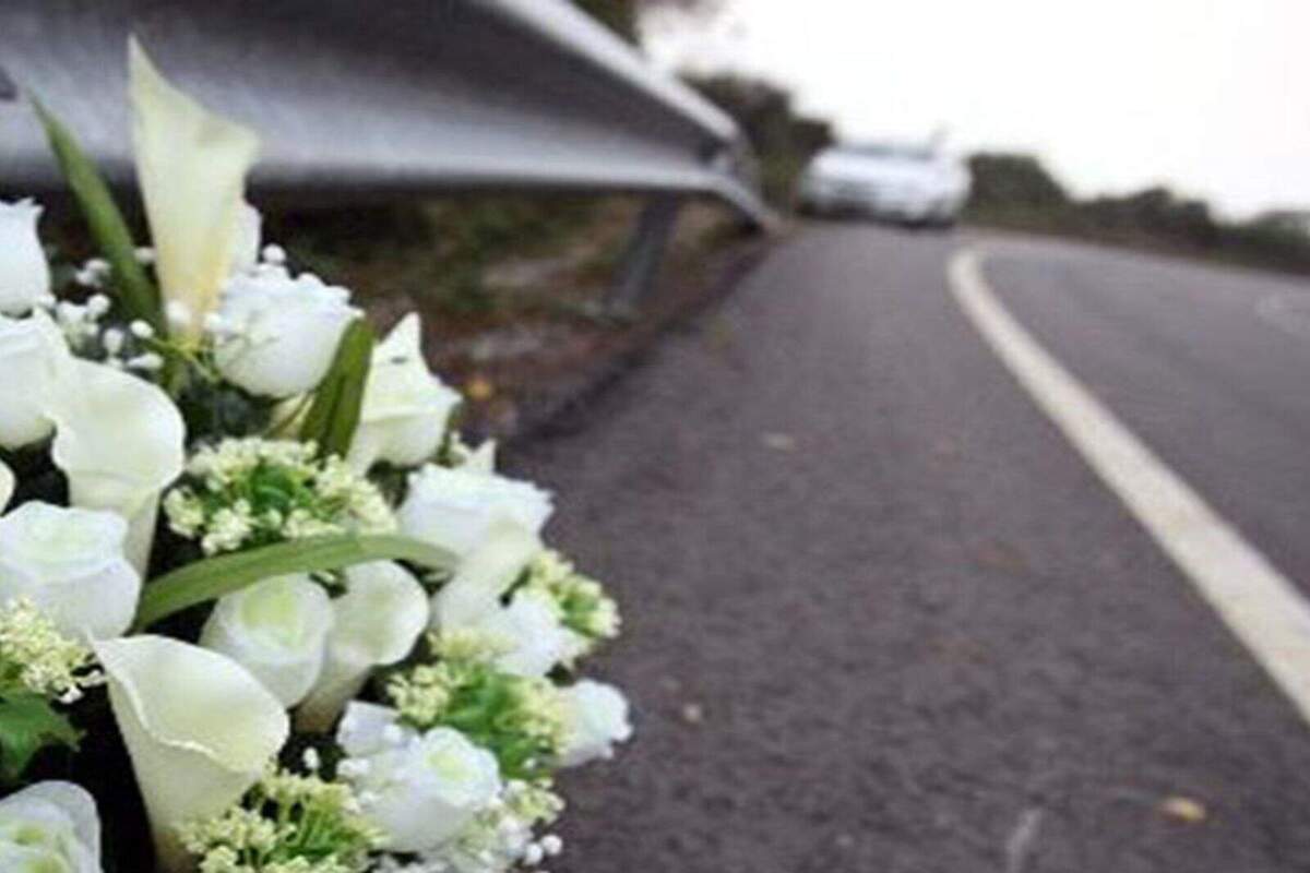 Imatge d'una carretera amb flors