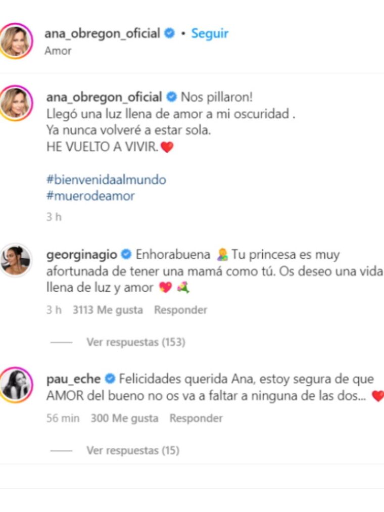 Captura de la resposta de Paula Echevarría a Ana Obregón a Instagram