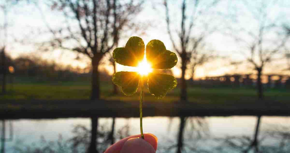 four-leaf-clover-why-does-it-symbolize-good-luck