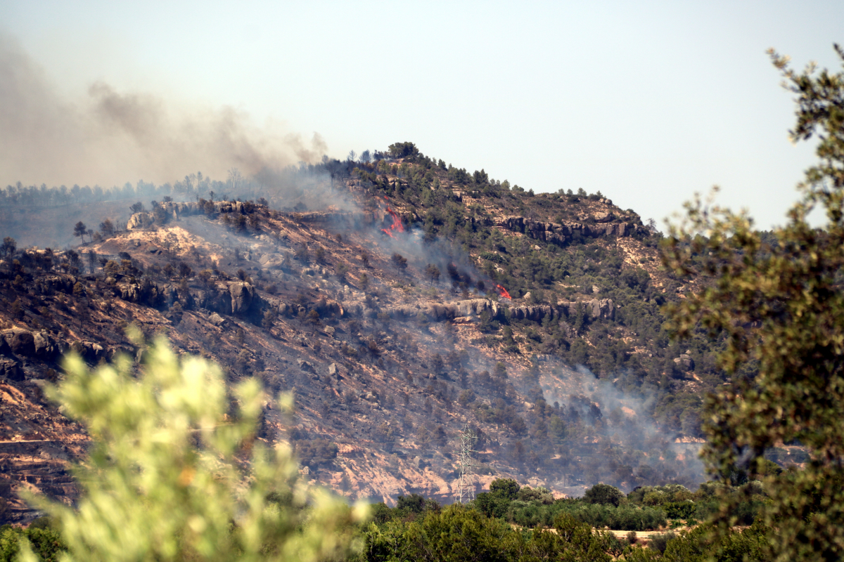 Imatge de superfície cremada en un foc a la Ribera d'Ebre